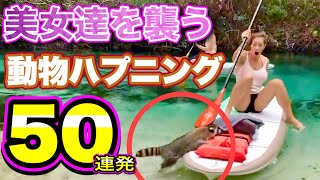【予測不能】海外美女たちを襲う「動物ハプニング50連発！」| Funny Animal Attack Compilation | Total 50 scenes |