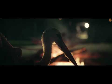 THE TALE OF SILYAN clip