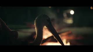 The Tale of Silyan (2025) Video