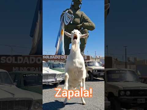 "¡Vuelve el evento más FIERRERO de la Patagonia!  #zapala  #goat #neuquén #chivo