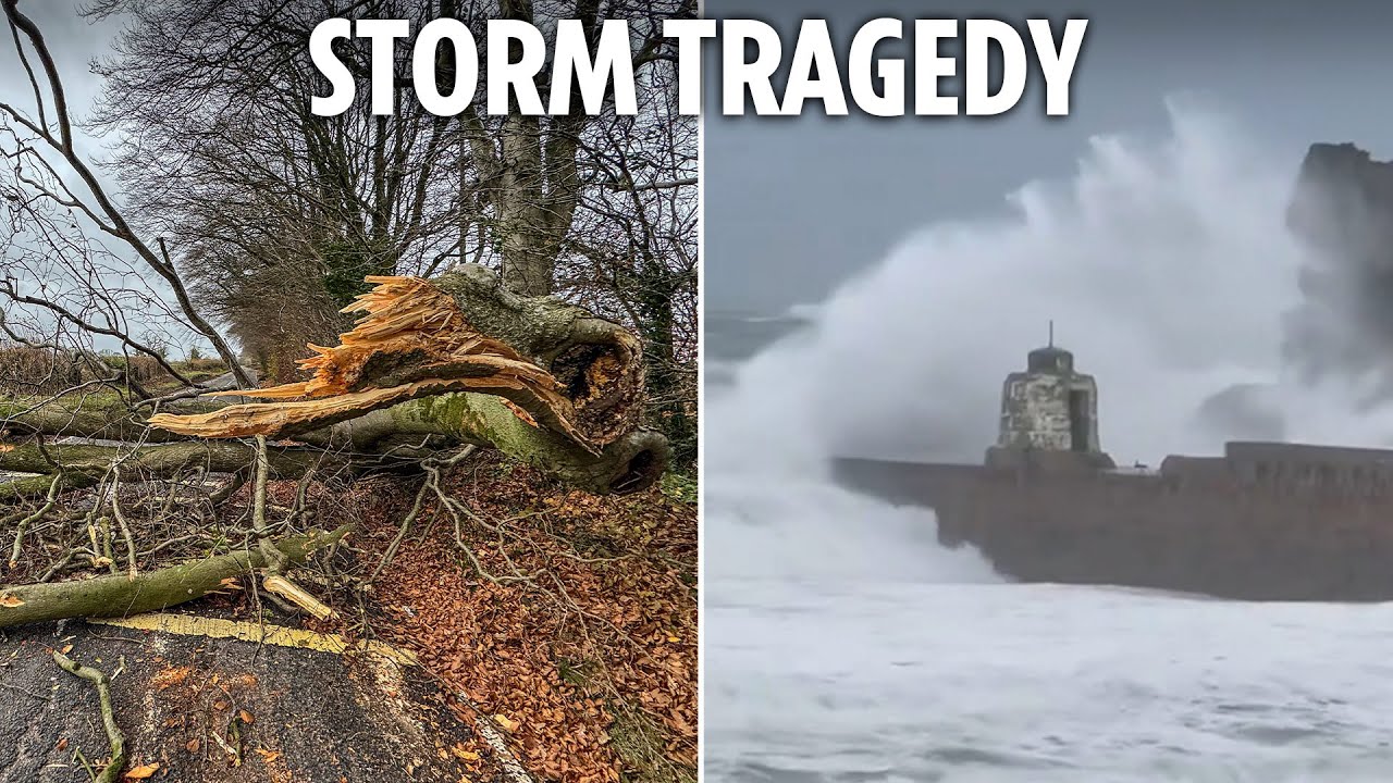 Man in his 40s dies after tree falls on his van in Lancashire during Storm Darragh