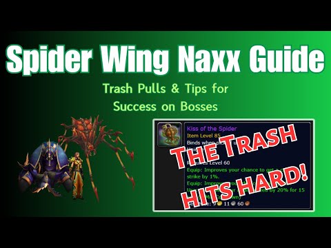 WoW Classic Naxxramas Guide for Anniversary 2025 - Spider Wing