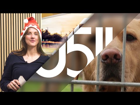 Weihnachtsmarkt & Traditionen - Die 0511 Weihnachtssendung 2025! - 0511 vom 19.12.2025