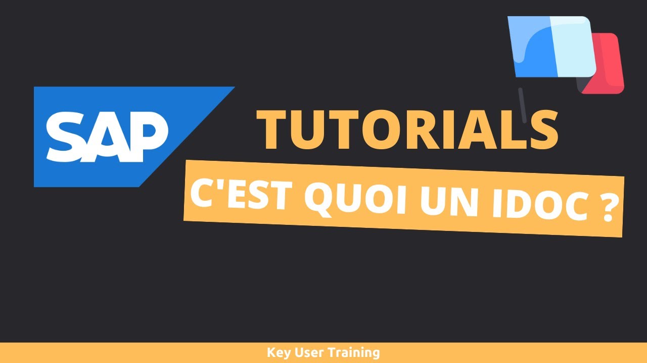 SAP IDoc - C'est quoi un IDoc