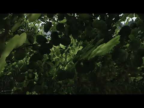 Escape From Tarkov 2019 12 14   14 50 52 35 DVR 1576332249845