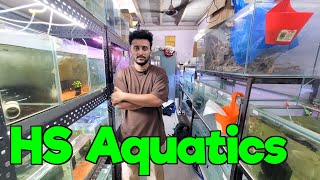 Discount Offer on Aquarium Fish at HS Aquatics