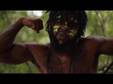 FAYRO-Amazon Official Visual