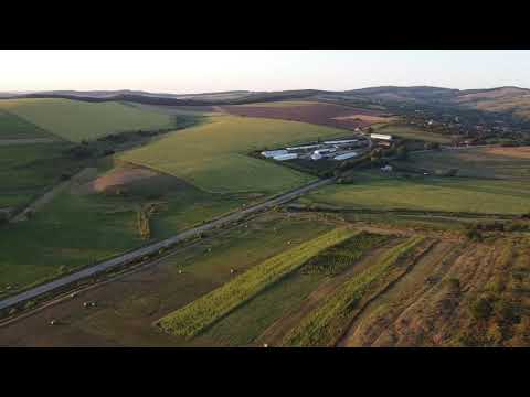 Tisa Silvestri - Romania