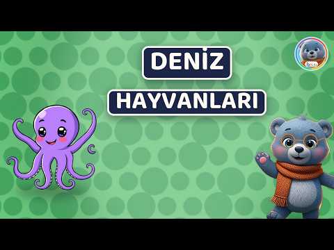 Çocuk Gelişimi Videoları: Dünyayı Birlikte Keşfedin
