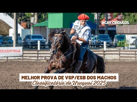 Moccateo Cala Bassa - TE • Melhor Prova de VSP/ESB dos Machos na Classificatória do Uruguai 2025