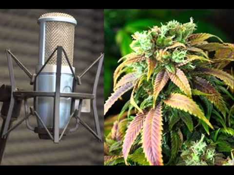 Miki Adson Wąsy - Płać papier