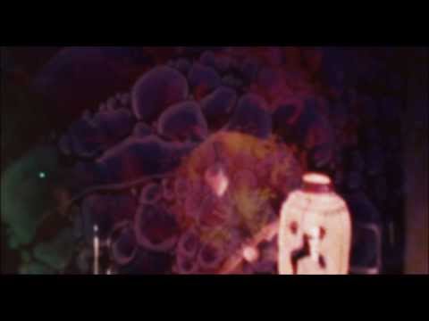 Kanoi : Lysergia (live)