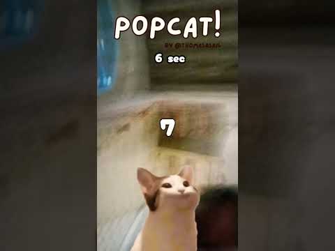 19 de dezembro de 2025