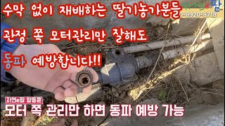 딸기 하우스 수막 재배 안하는 농가분 관정 동파 관리 주의하세요!! 날씨 한참 춥습니다.