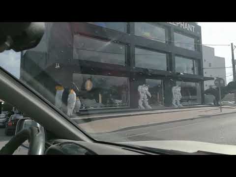 La maison de l'elephant ibiza