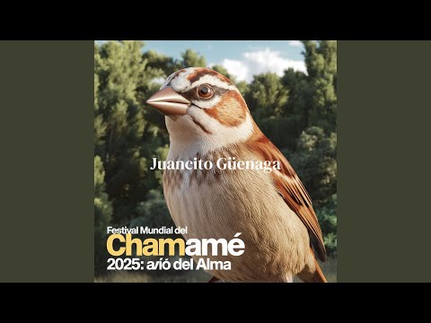 Parada Pucheta (En vivo)