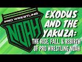 Pro Wrestling NOAH The Rise Fall And Rebirth