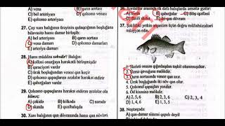 Balıqlar. Başıxordalılar sinfi (1-65) | Biologiya DİM Test Toplusu 2025