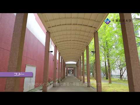 千葉経済大学コリドー