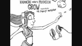 Kabanjak meets Protassov - Brain in Dub (ft. The Jungle Brothers)