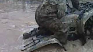 preview picture of video '700 grizzly on 28 silverbacks playing in water hole'