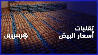 ارتفاع الأسعار يكبح الاستهلاك.. موزعو وتجار البيض يشتكون الاحتكار وتقلبات الأسعار thumbnail