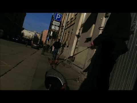 Jan Blomqvist x Bloom Twins - High On Beat (Sofi Tukker Remix)