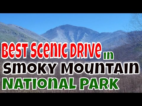 Best Scenic Drive in Great Smoky Mountain National Park!
