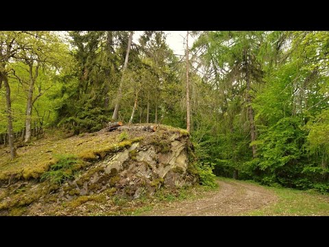 2021 Frühjahrswanderung 02- Östliche Eifel (Wildkamera?)