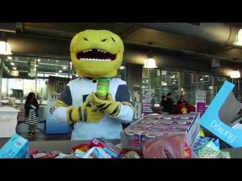 PhotoGraphic TV - Corporate Video News Release (VNR) Example (02 Silver & Gold)