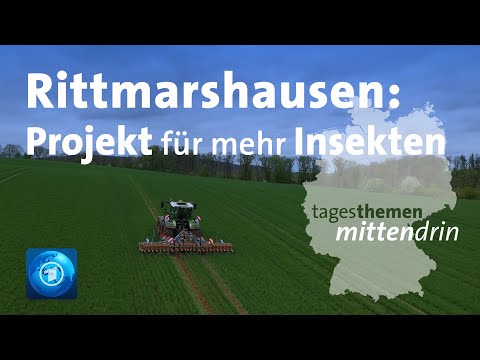 Rittmarshausen: Insektenschutz auf dem Acker | tagesthemen mittendrin