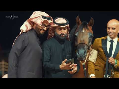 🔹 AL SAYED STUD🔹Fillies Classes, 2022 KIAHF