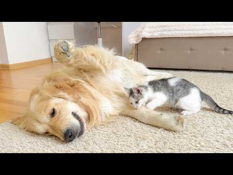 YouTube 썸네일
