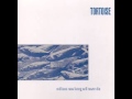 Tortoise - Djed