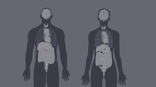 Cancer - What is cancer?