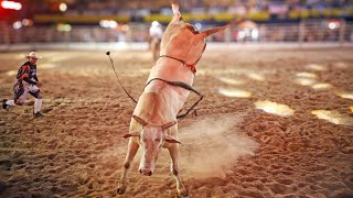 CANÁRIO (Cia. NA Bulls) - MELHOR TOURO da FICAR de Assis 2025