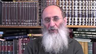 חתונה לבני נח, מתוך "מעגל החיים לבני נח" – הרב אורי שרקי