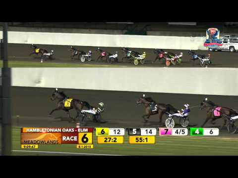 Hambletonian Oaks Elimination #1 - Lock Down Lindy - August 1, 2015