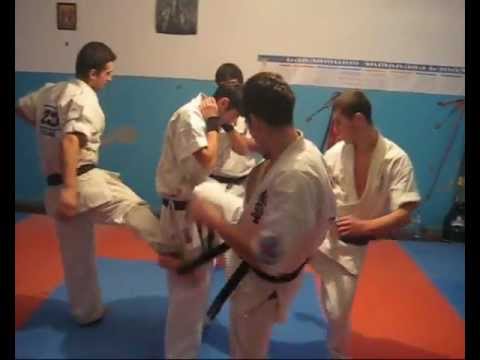 Serj Solomonian Kyokushin