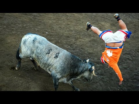 Costa Rica Bullfights Bam!  #CostaRica #Bullfights