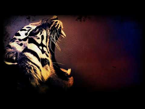 Romano Rap Mc ft. Sean Paul (THC)