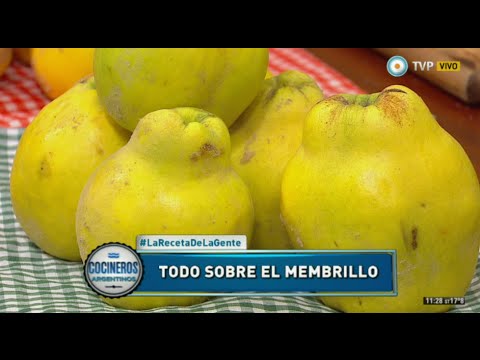Todo sobre el membrillo