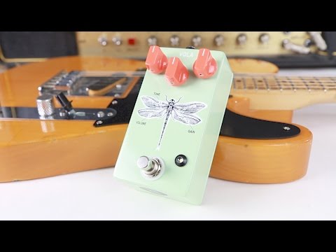 AC Noises Vola Green | Reverb