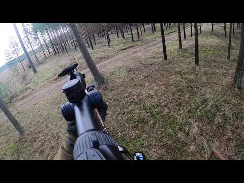 Drevjakt på dovhjort, vildsvin och rådjur (hjort faller!)