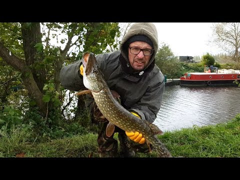 More Jacks From The Bristol River Avon - In The Worst Conditions!