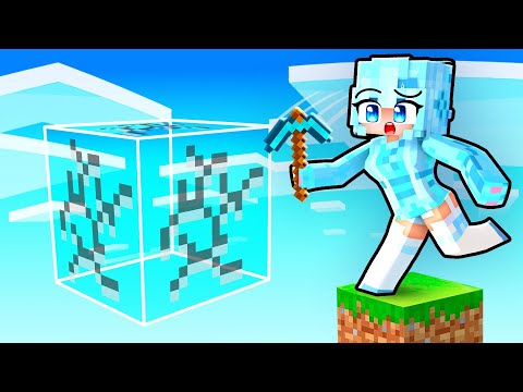 I Trapped My Friend in a Fake One Block World!