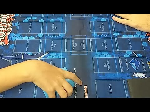 Dino True King Vs Shinobird