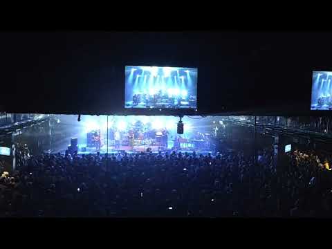 DSO 11/22/24 Box of Rain