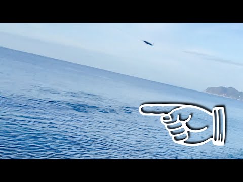 スカラーフィールド