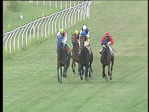 Galoppo 28/06/2017 - 2ª corsa